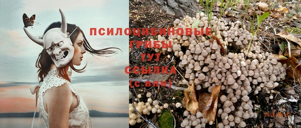 синтетический гашиш Краснослободск