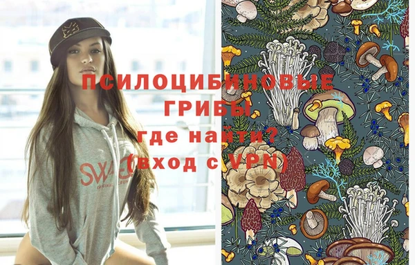 синтетический гашиш Краснослободск