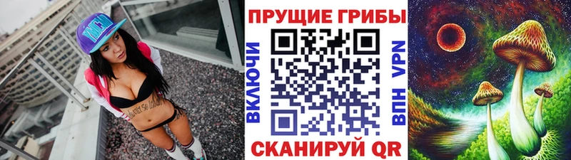 Галлюциногенные грибы Psilocybine cubensis  Медынь 